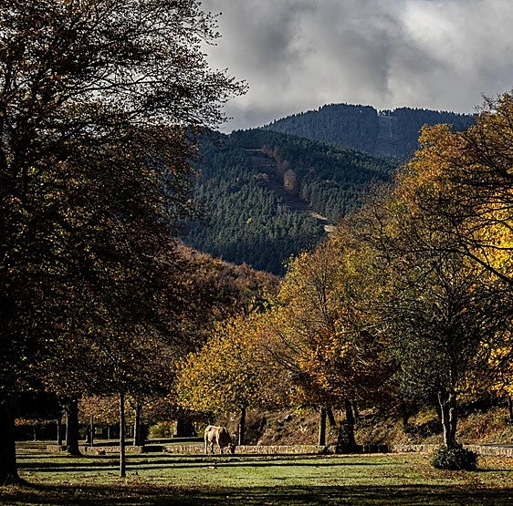 Estos son los lugares recomendados para disfrutar de los colores del otoño