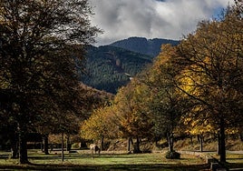Estos son los lugares recomendados para disfrutar de los colores del otoño