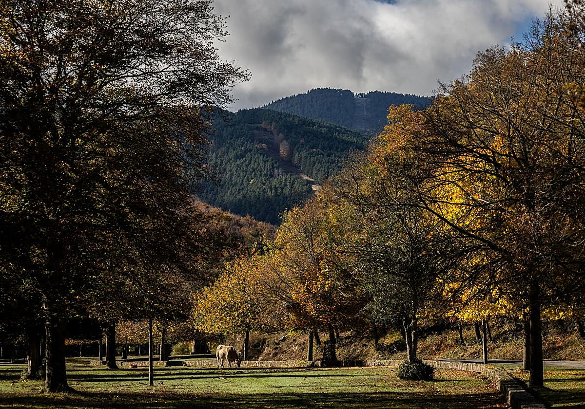 Estos son los lugares recomendados para disfrutar de los colores del otoño