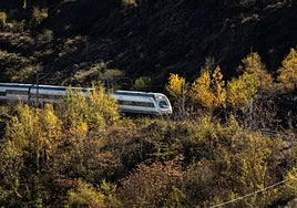 Las tres alternativas propuestas para el estudio de viabilidad