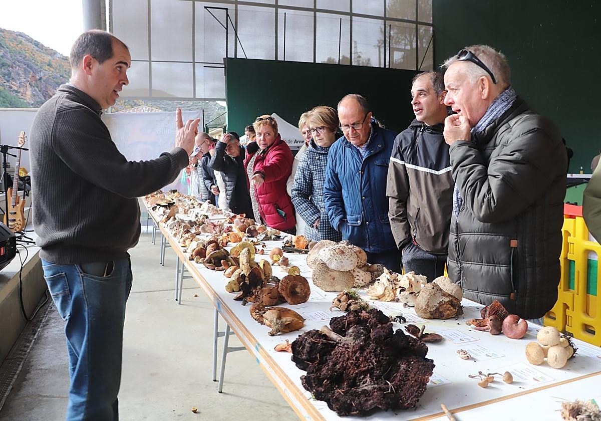 El público encontrará decenas de especies de setas y hongos y explicaciones de expertos.
