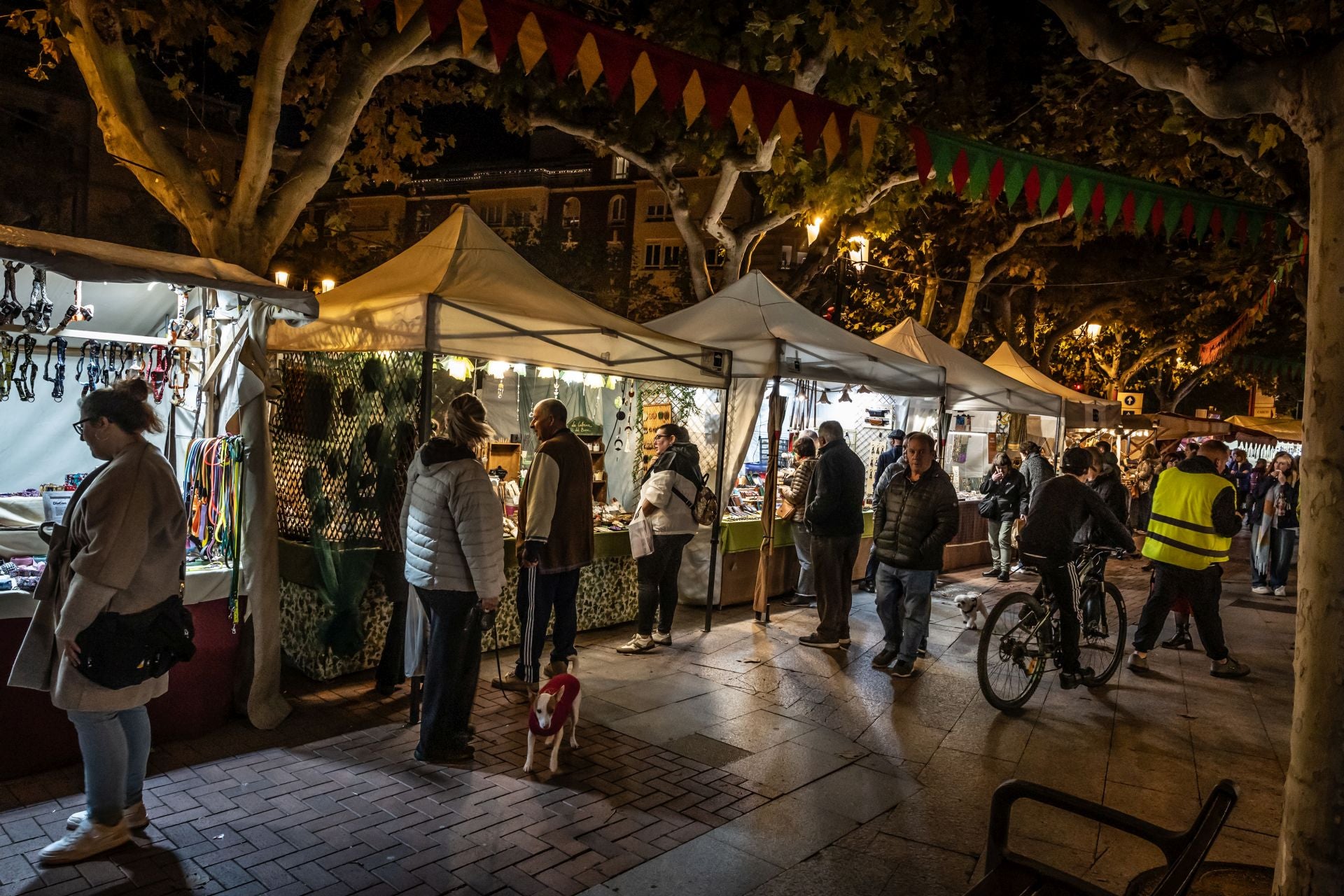 Desfile inaugural de las jornadas &#039;Las Brujas de Zugarramurdi&#039;