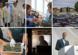 Las noticias imprescindibles