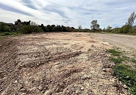 Zona donde se eliminó vegetación del soto.
