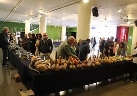 El público pudo conocer sobre las mesas dispuestas diversas setas de cultivo, plantas y verduras y una colección de calabazas.