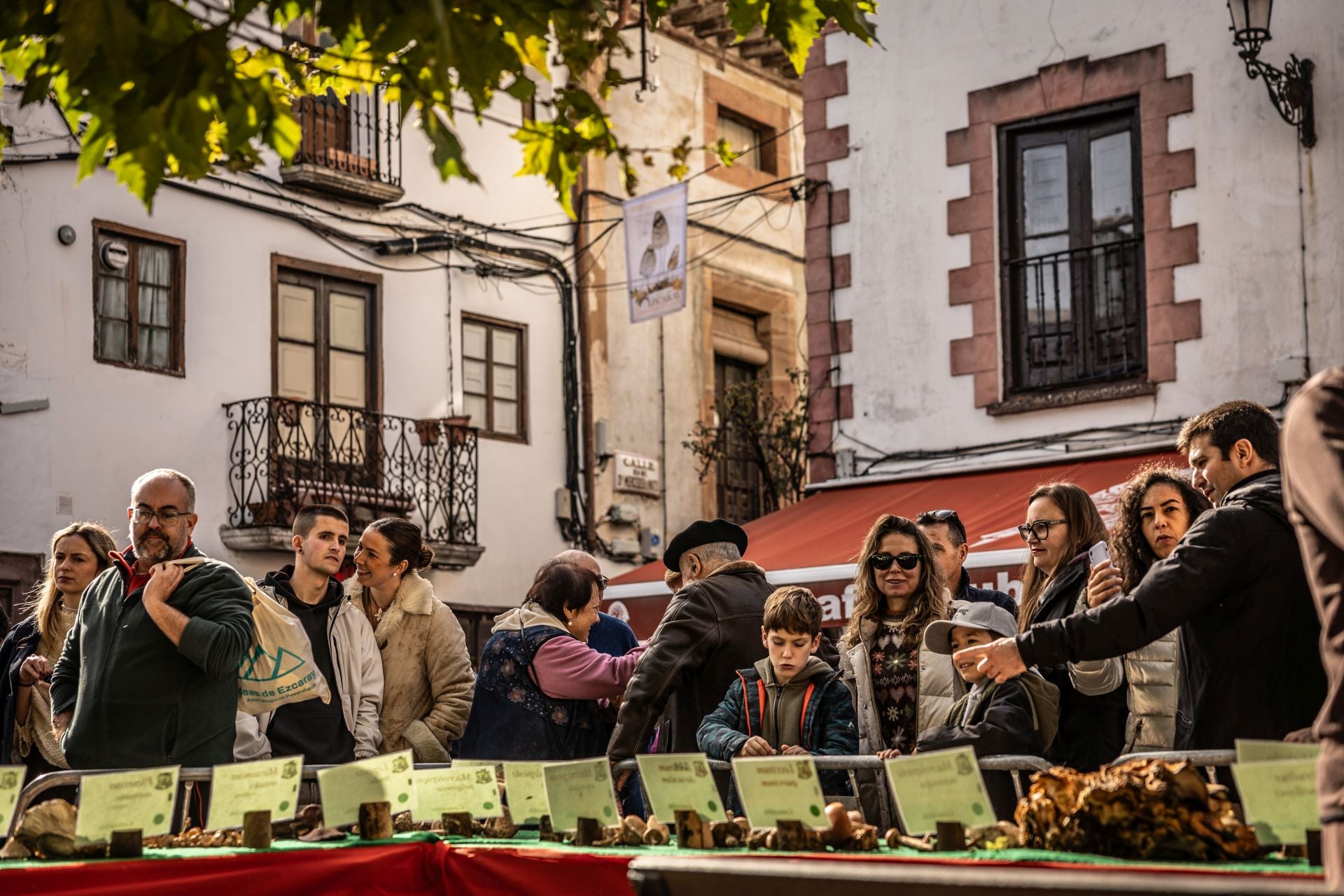 Las imágenes de las Jornadas Micológicas en La Rioja