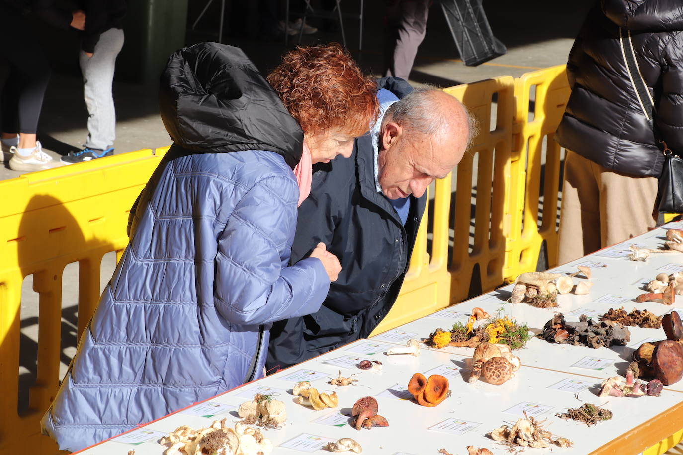 Jornadas Micológicas en Arnedillo
