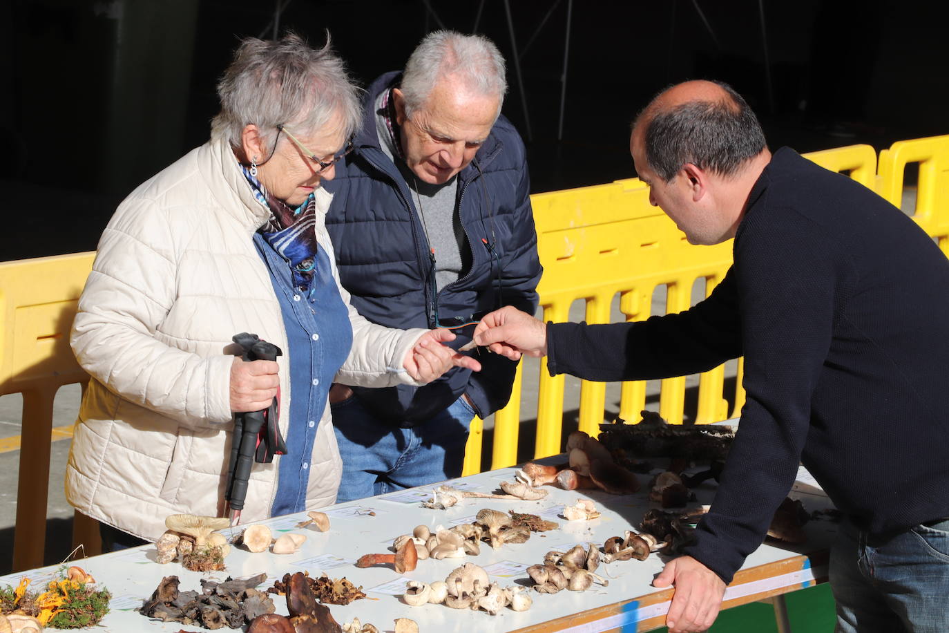Las imágenes de las Jornadas Micológicas en La Rioja