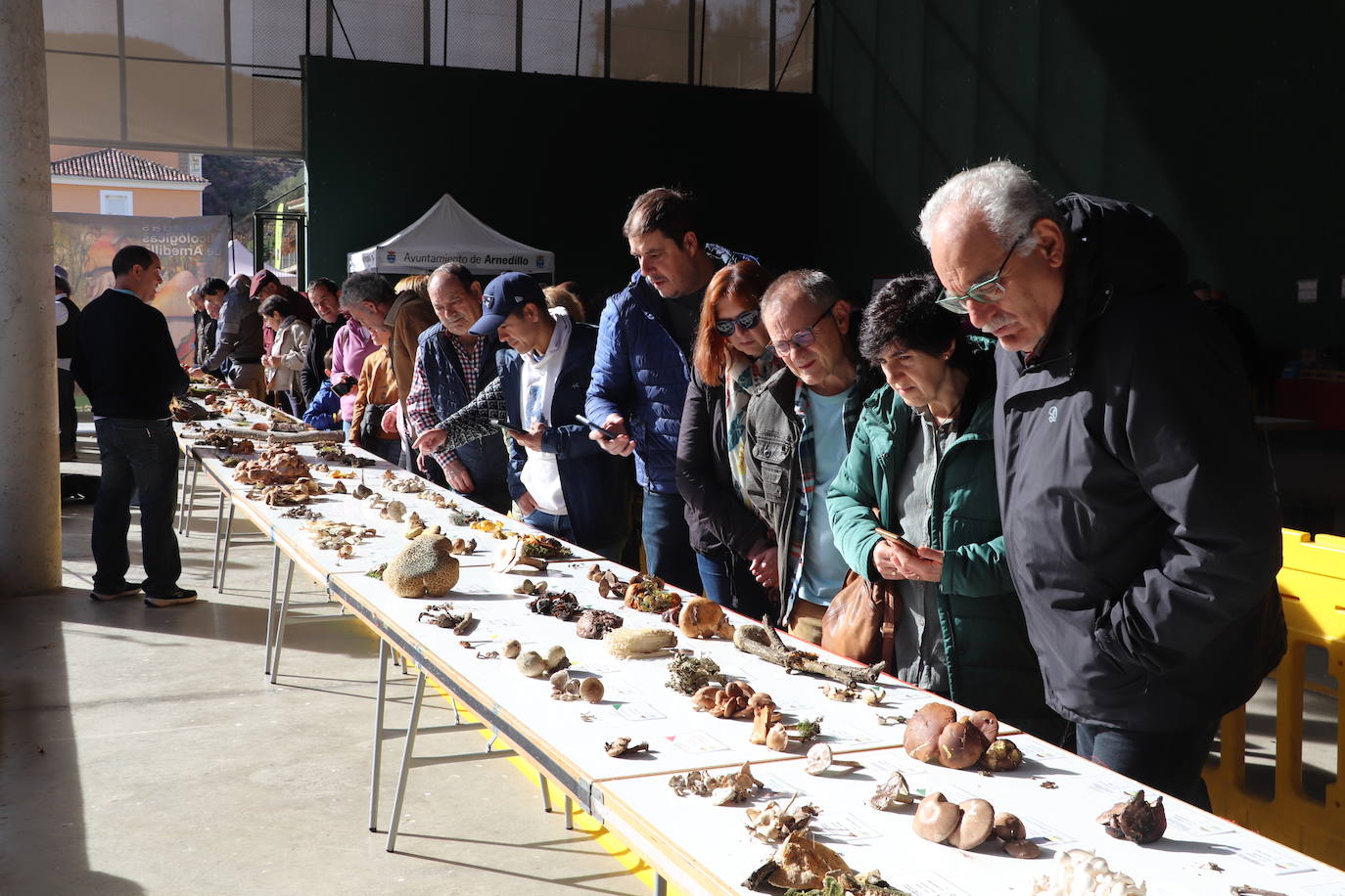 Las imágenes de las Jornadas Micológicas en La Rioja