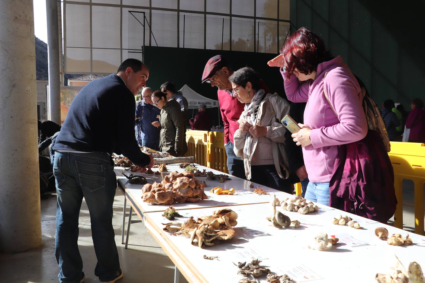 Las imágenes de las Jornadas Micológicas en La Rioja