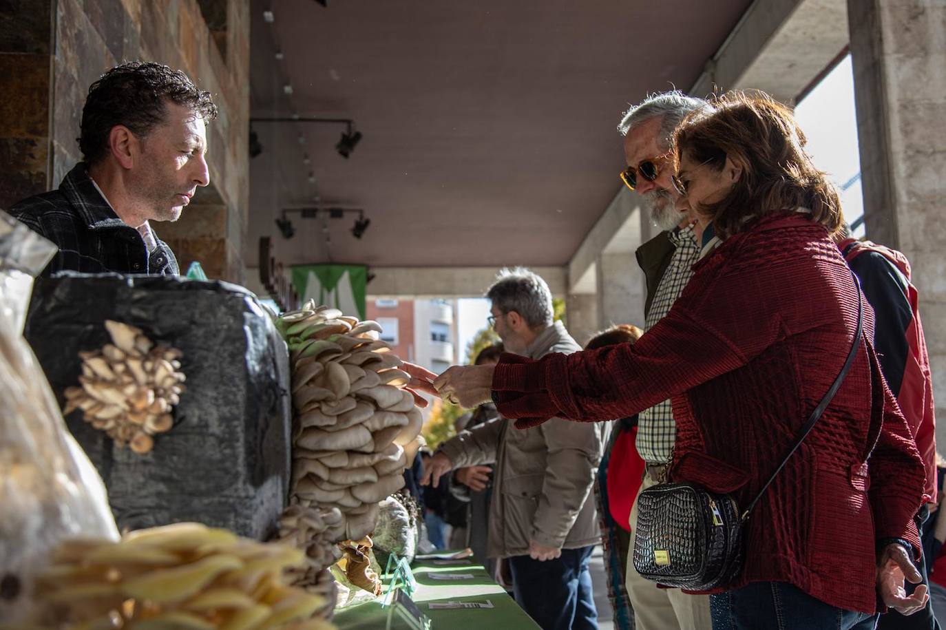 Jornadas Micológicas en Logroño.