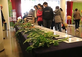 Las imágenes de la Semana de las Ciencias en Arnedo