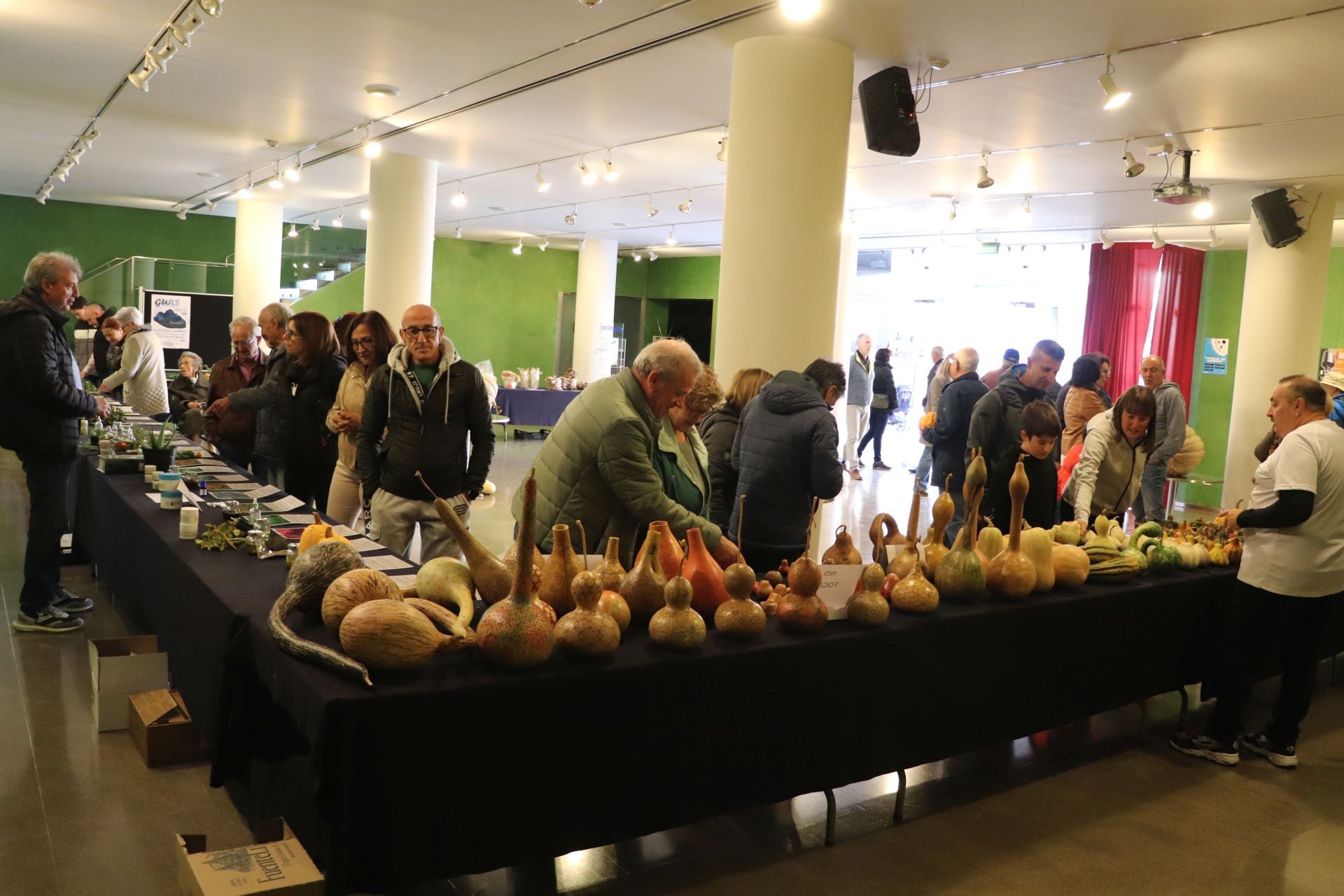 Las imágenes de la Semana de las Ciencias en Arnedo