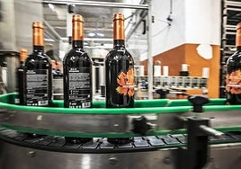 Imagen de archivo de un vino de la Cooperativa Bodega San Miguel.