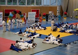Jornada de judo paralímpico