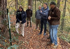 La comitiva durante el recorrido del sendero.