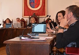 La portavoz de Vox, Maite Arnedo, en el pleno extraordinario de ayer lunes.