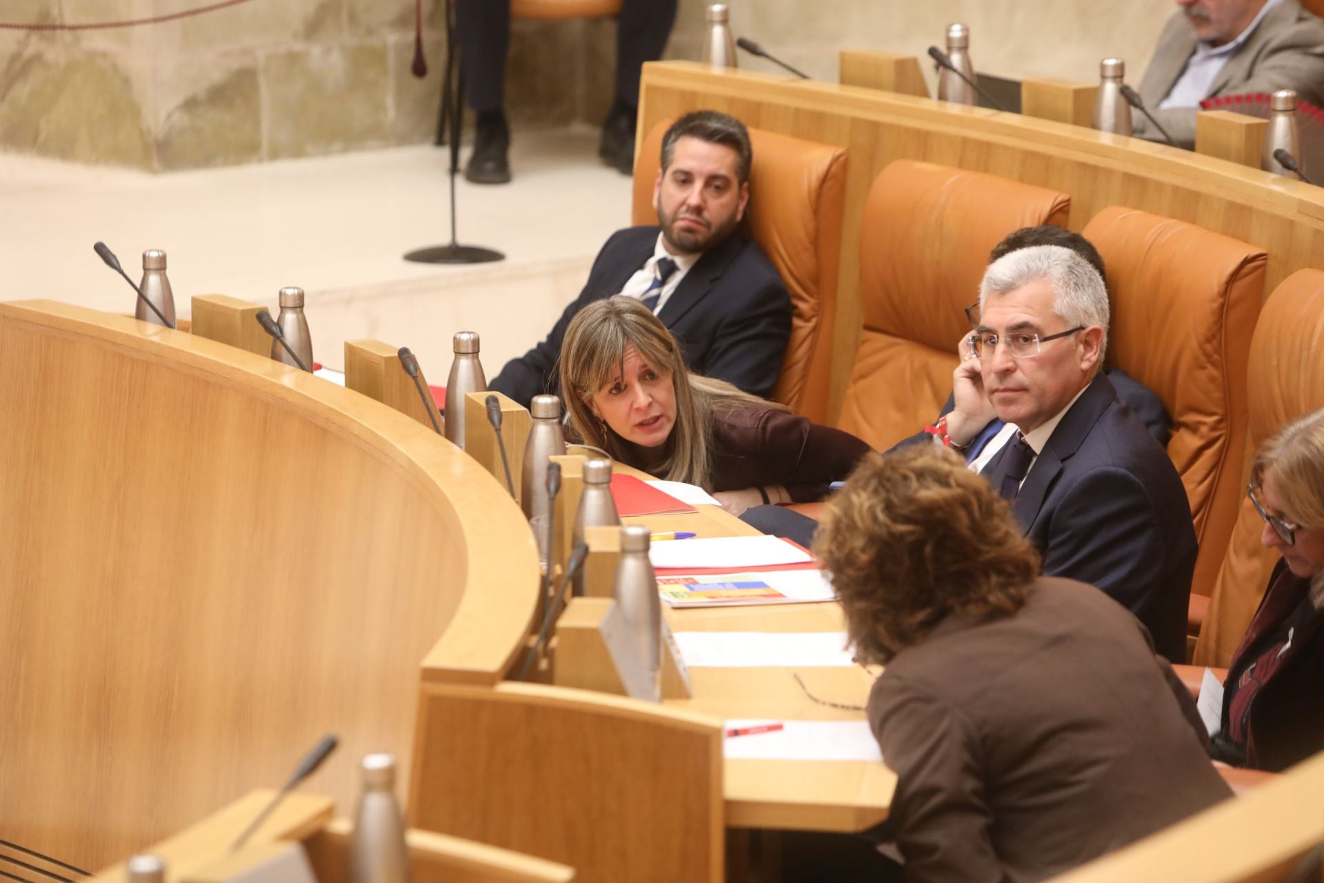 Las imágenes del pleno del Parlamento de La Rioja