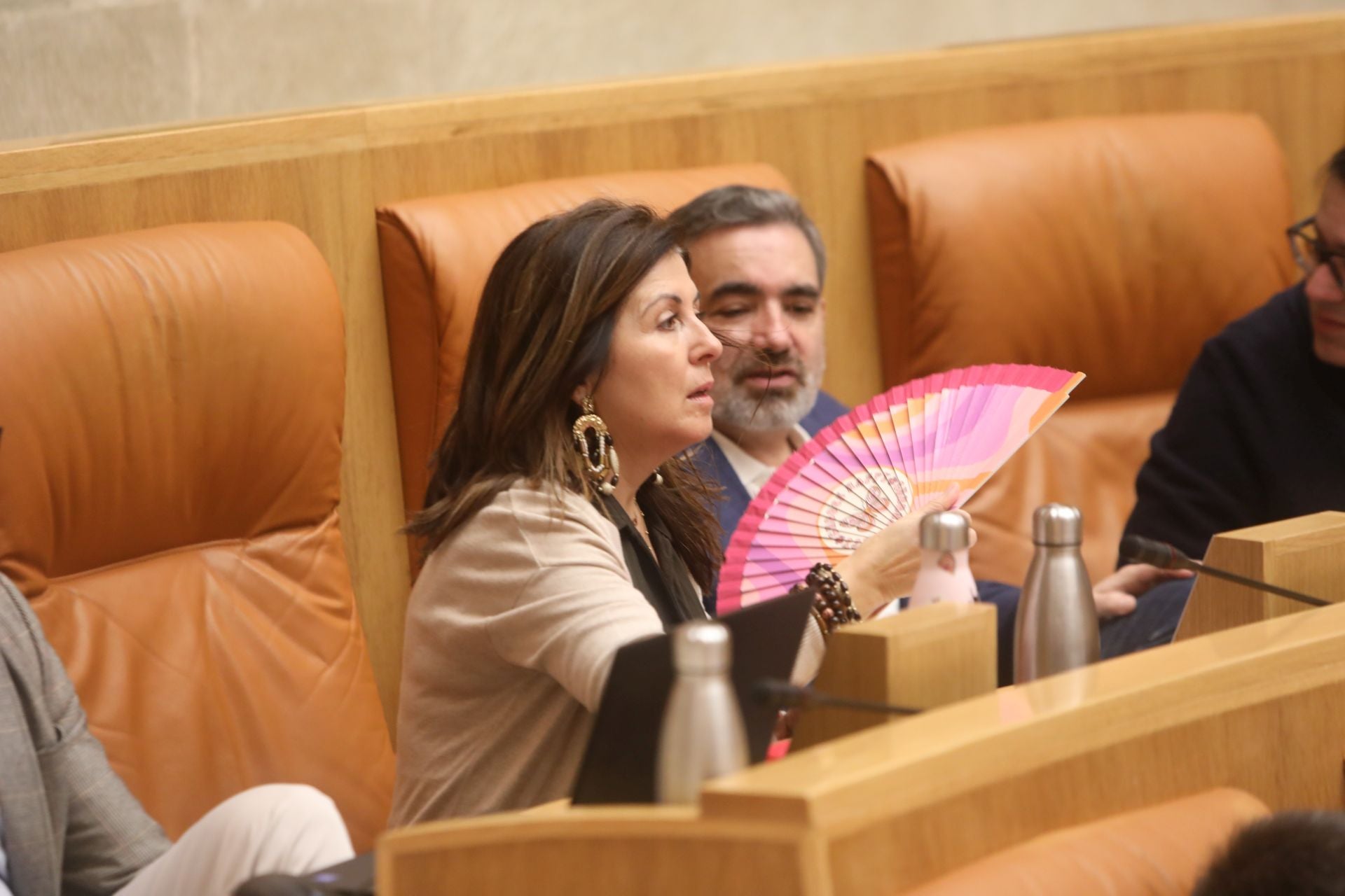 Las imágenes del pleno del Parlamento de La Rioja