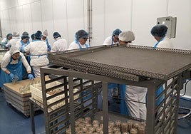 Planta de Conservas Cerdeimar en Cervera del Río Alhama.