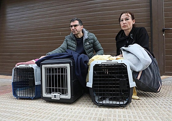 Roberto Viguera y Vanesa García posan con los gatos rescatados en la vivienda desalojada en Lardero.