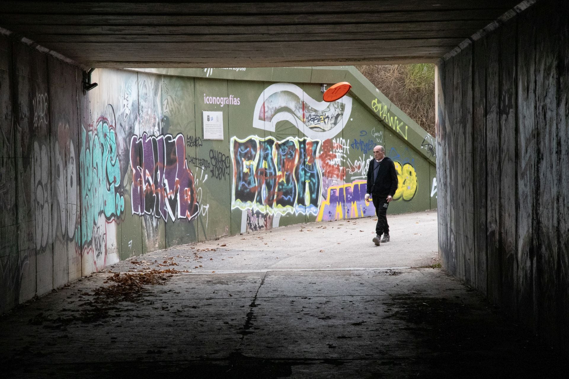 Mural dedicado al Camino de Santiago en Logroño, concretamente en el camino a La Grajera, en el túnel para salvar la circunvalación en El Arco, obra de los ya citados Globartia en 2013 (restaurado en 2021 y, de nuevo, totalmente vandalizado actualmente).