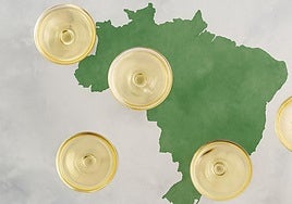 Curso de cata 'Vinos espumosos de Brasil. La primera D.O. del nuevo mundo'