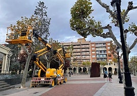 La grúa elevadora, aparcada unos metros más lejos del monumento a las Víctimas del Terrorismo de Logroño