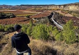 El tren de Logroño a Miranda, junto a los meandros de Ebro en Fuenmayor