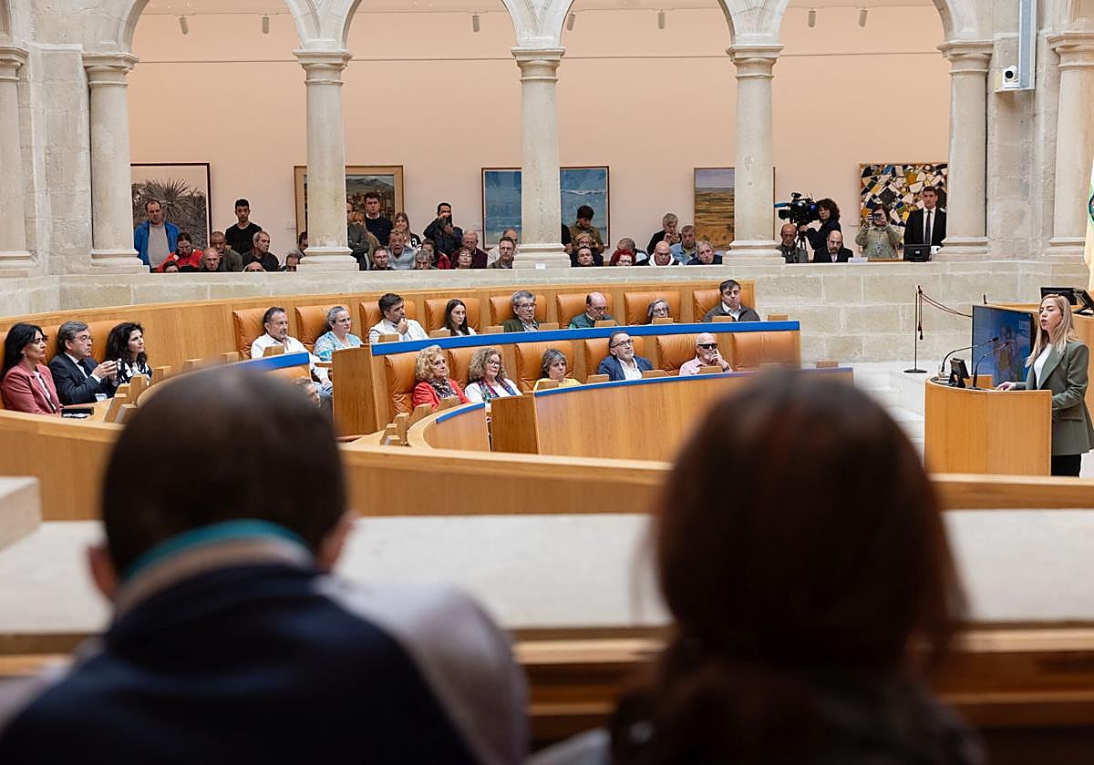 El Parlamento renuncia al alquiler de 33 plazas de aparcamiento para los diputados