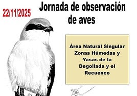 Cartel de la actividad.