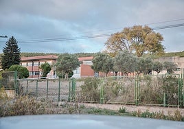 «Mi hijo solo pregunta por su maleta, quiere volver al internado»