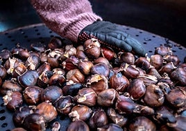 Los puestos de castañas vuelven a dar vida a alguno de los rincones de la capital riojana