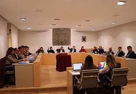 Las cuentas municipales salieron adelante con los votos a favor de PSOE, IU-Podemos y Partido Riojano.