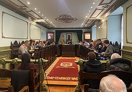 Sesión del pleno del Ayuntamiento de Haro.