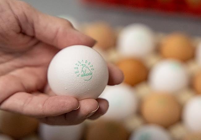 Detalle de la marca de unos de los huevos de la granja.