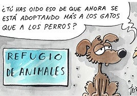 La adopción de gatos y perros, según Tris