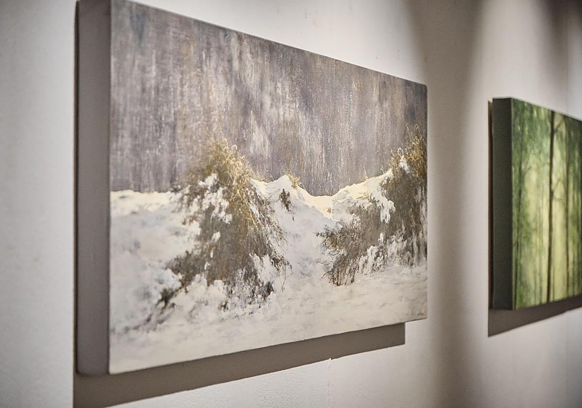 Imagen principal - Detalles de la exposición 'Lejos del ruido'.