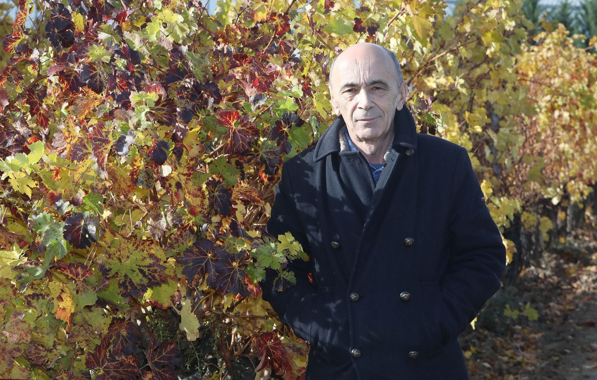 Las muestra de Arte Joven en La Rioja, en imágenes