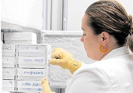 Suplemento especial: Economía&Empresa