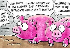 La peste porcina, según Tris