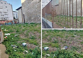 Las luces de Navidad y la apertura de comercios en días festivos, en el Teléfono del Lector