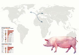 La Rioja se juega unos 100 millones al año en exportaciones por la peste porcina africana