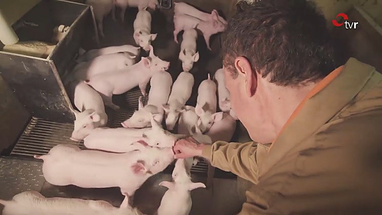 El Gobierno y la Federación Riojana de Caza coordinan medidas para hacer frente a la peste porcina