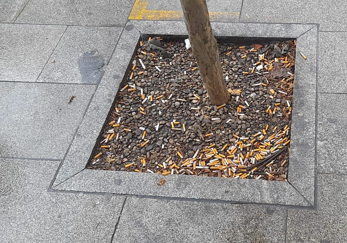 Quejas por la siniestralidad que registra la N-232, en el Teléfono del Lector