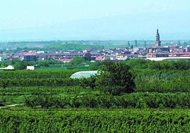 Hoy, iluminación, chocolate y villancicos en Rincón de Soto