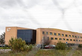 Herido un joven de 21 años tras sufrir un atropello en Logroño