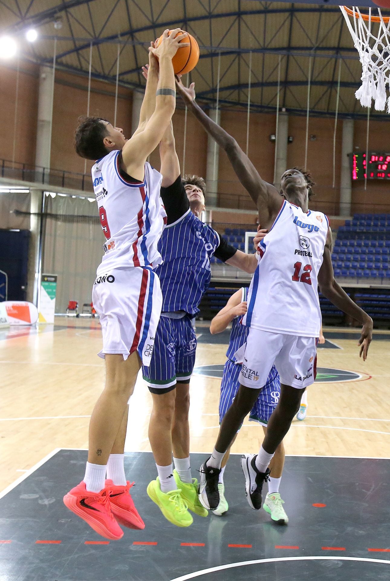 Las imágenes del Clavijo-Coto Córdoba