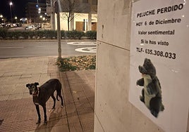 Cartel de búsqueda del peluche perdido en el barrio Los Lirios de Logroño.