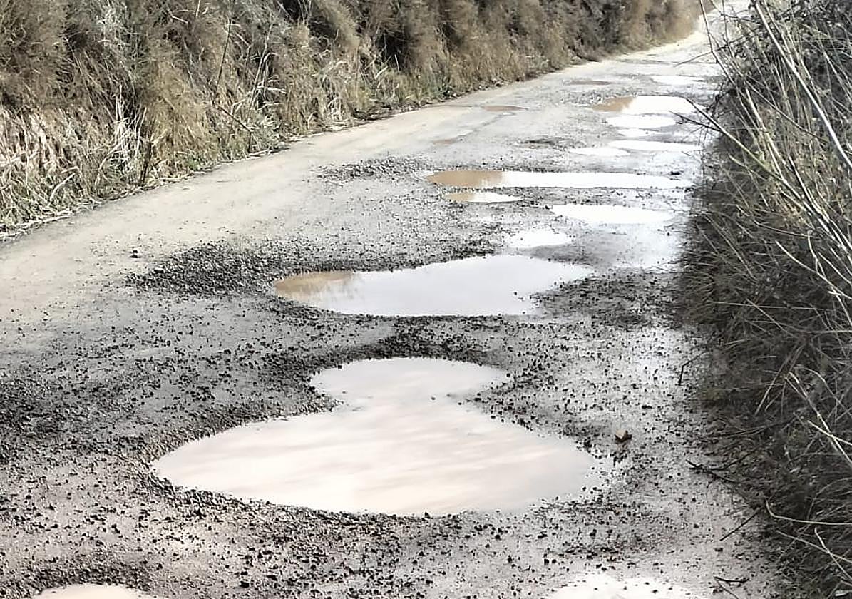 Luces de Navidad, reparto de chocolate, visibilidad en las calles... en el Teléfono del Lector de hoy